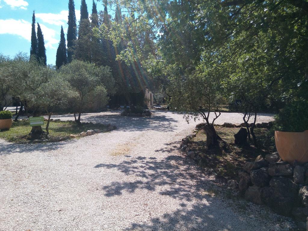 Gite Les Oliviers Cotignac Εξωτερικό φωτογραφία